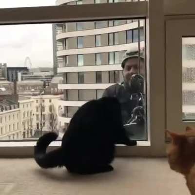 Window washing