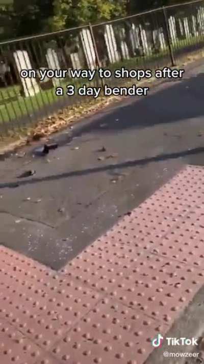 What a muppet.