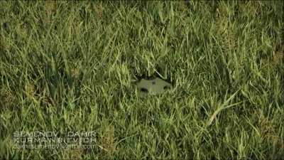 From Grass to Blast
