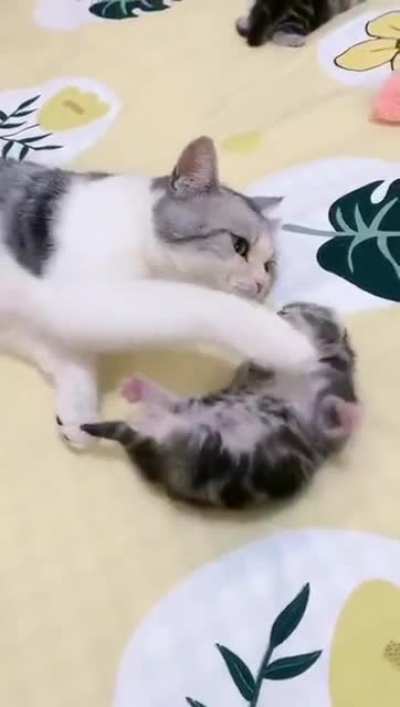Maybe Maybe Maybe