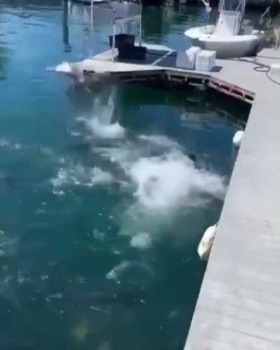 Catch of the day....