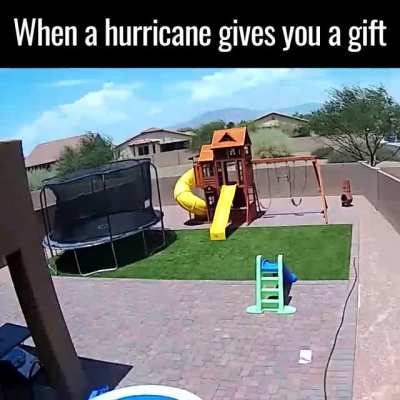 nature's gift