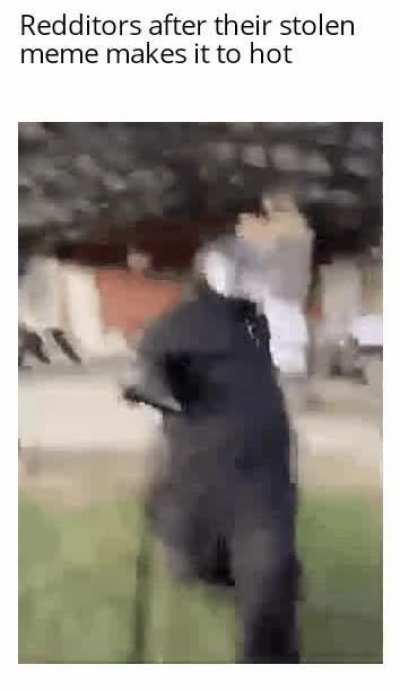 O b s e r v e