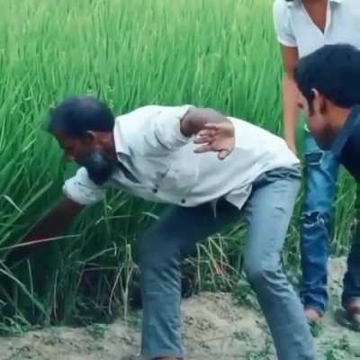 A snakechacher rescuing a snake