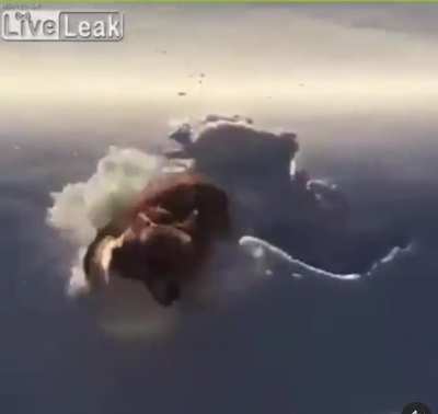 Skydiving fun!