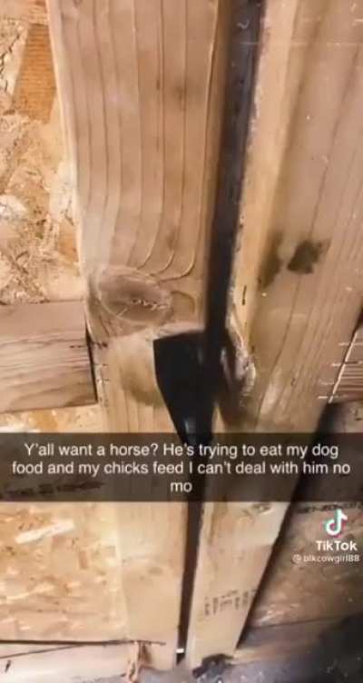 Caught red-handed