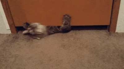 A close door can't stop him