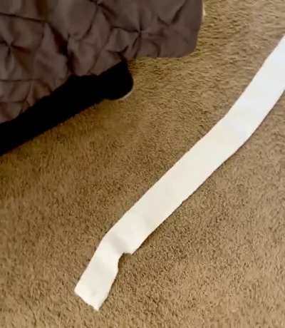 Pt. 3: Catching the toilet paper bandit in action. Did I set him up? Yes. Was it worth it? Absolutely. I had to see for myself just how he handles the careful logistics of the turn. ??