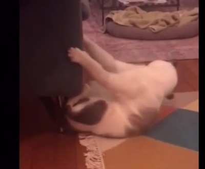 Flash dance