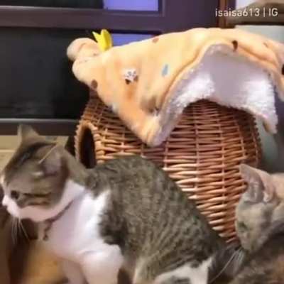 Maybe Maybe Maybe