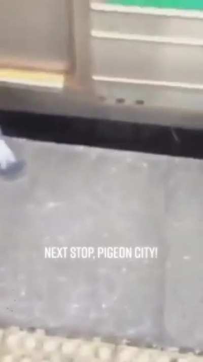 Maybe maybe maybe