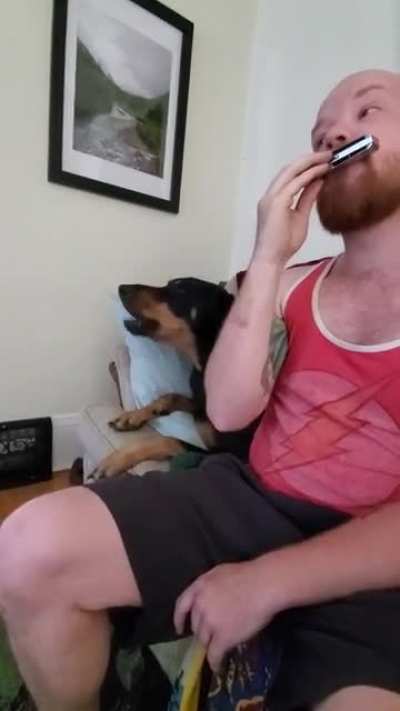 Brought my boy Chuck home 4 years ago to the day. Here he is singing to commemorate the occasion!