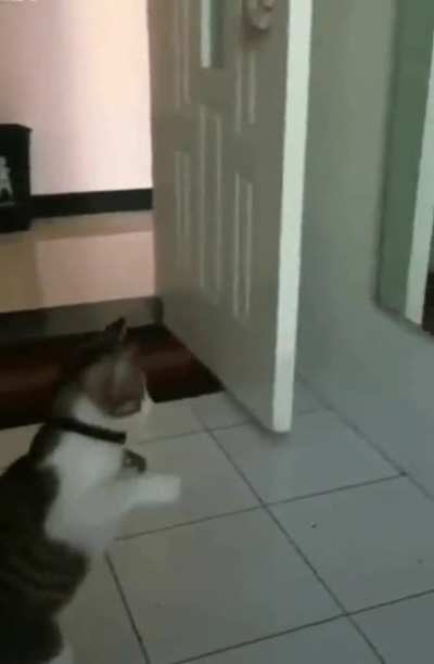 Who’s dat??