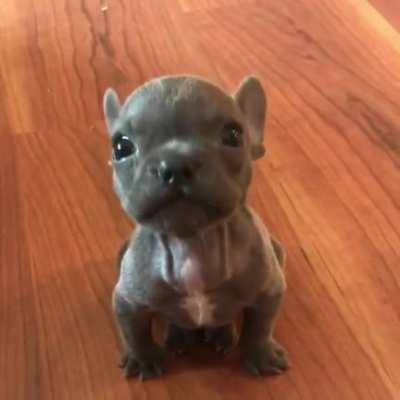 fear me!