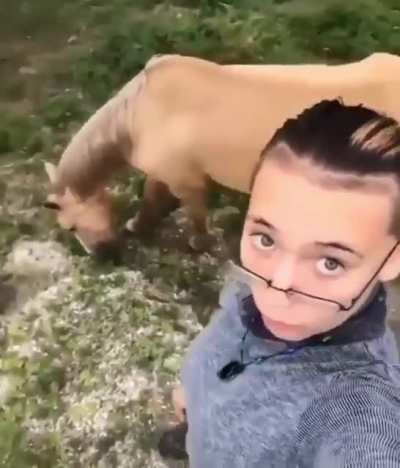 When she got down low and the video said "Your horse is your partner" I got very worried