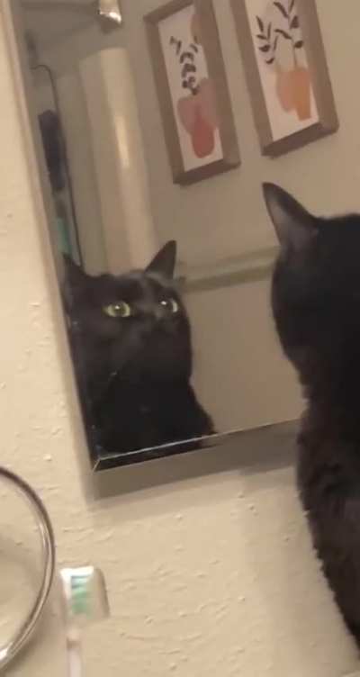 Lost in thought