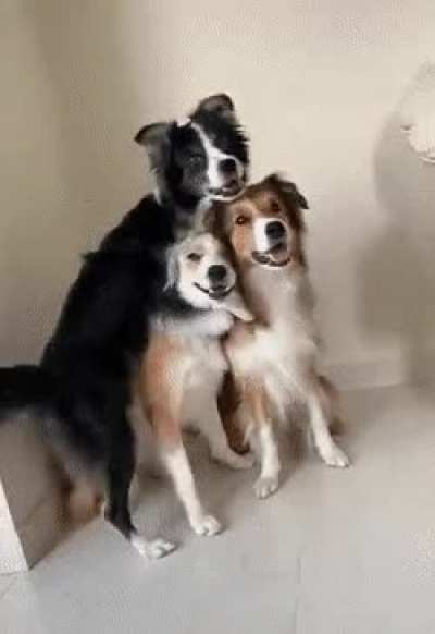 Ready to take a photo