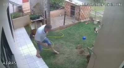 Ant extermination