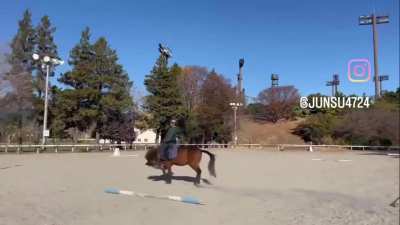 The embodiment of "horsing around":