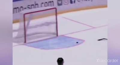 a goalkeeper on hockey
