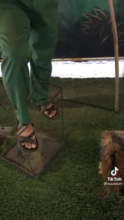Booby traps that were used by Vietnamese during the Vietnam War
