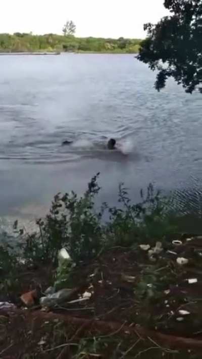 Training to beat Michael Phelps