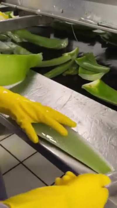 The way aloe vera products are made...?