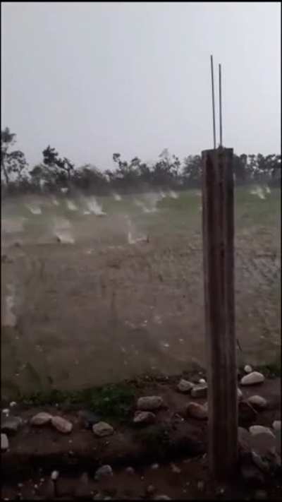 This yard was turned into a war zone due to a massive hail storm