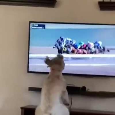 Take me in! Take me in!!