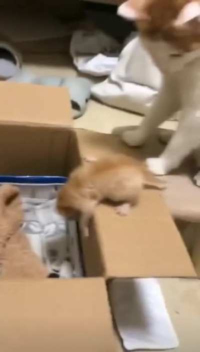 Mama give you a hand here!