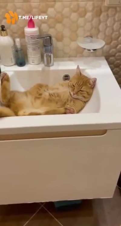 Will always find a cozy place to sleep❤️?