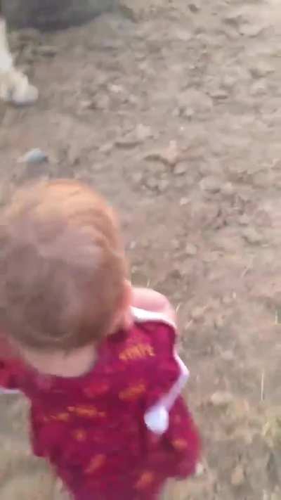 The most wholesome video you'll ever see.