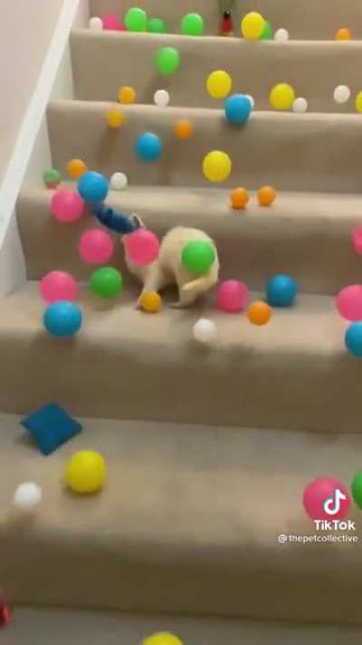 Sensory overload