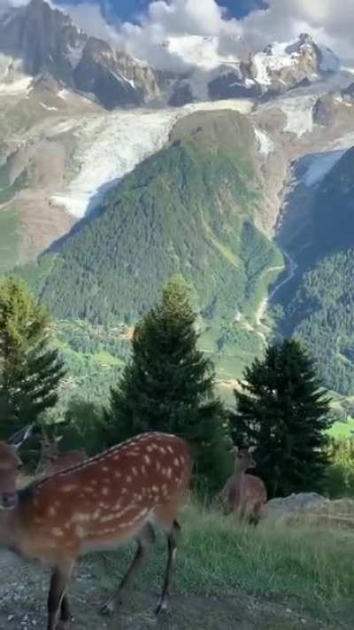 Nature beauty