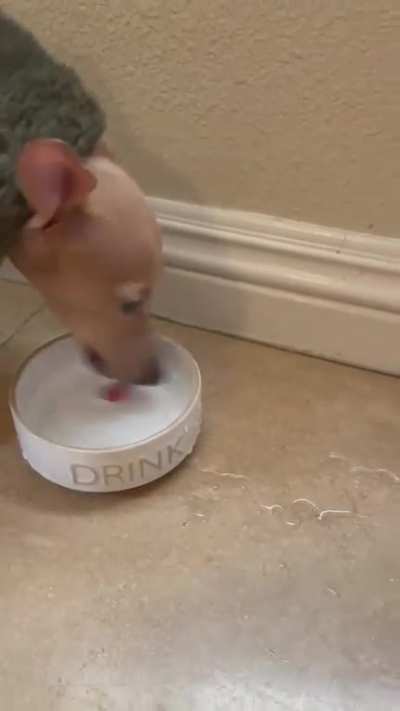 Very interesting way to drink