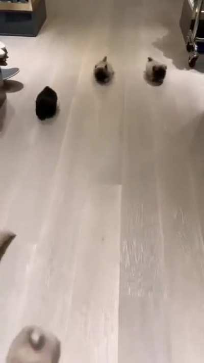 ????