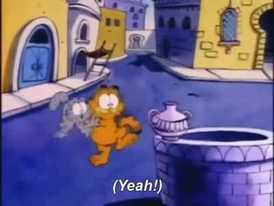 A whole generation of Americans learned the capital of the UAE thanks to this cat.