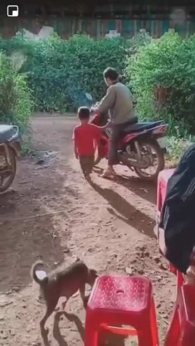 to give a help