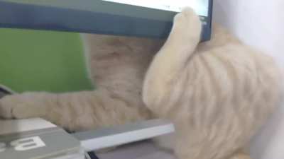 To scratch myself.