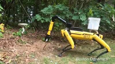 Boston dynamics have made and arm for Spot!