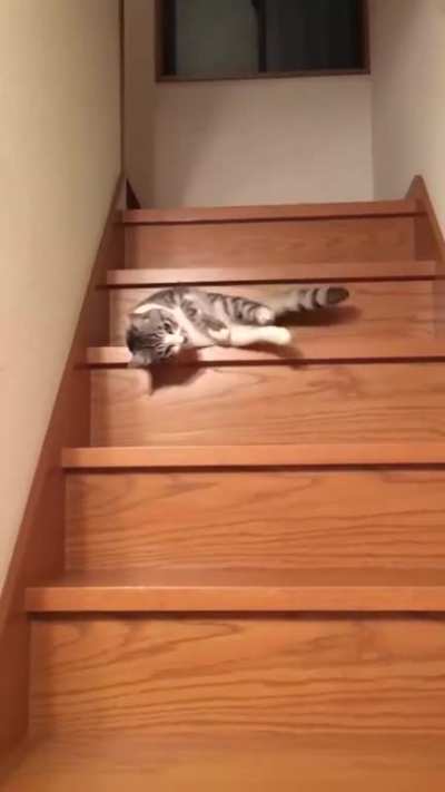 And here I've been using my legs like a moron