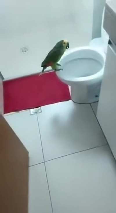 Singing in the bathroom