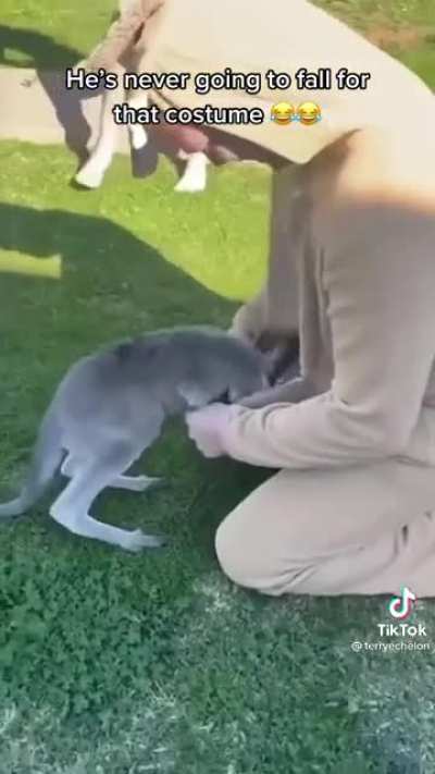 Maybe Maybe Maybe