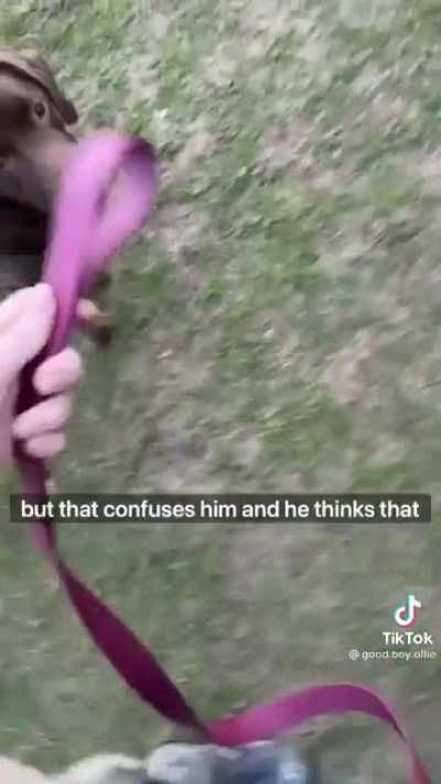 ??