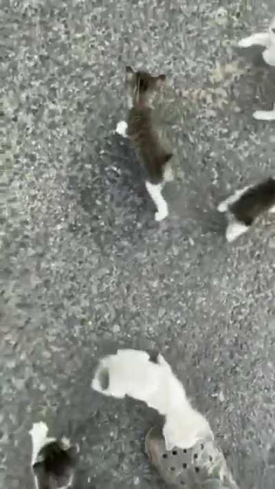 OMG