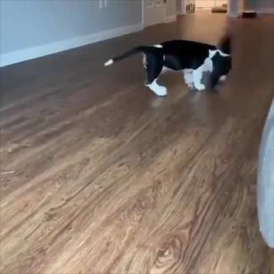 Sweeping the floor or helicopter?