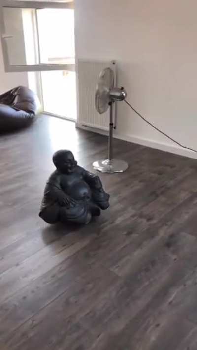 I saw u/rIIDNL 's post of the Buddha rumba while watching Star Wars and this is what happened.