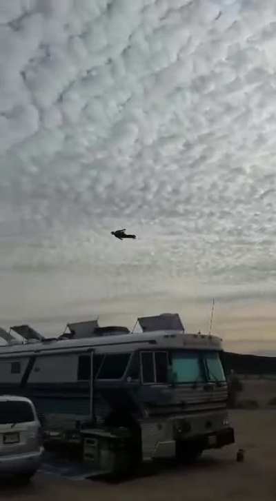 Is that a bird? Is it a plane? No, it's...