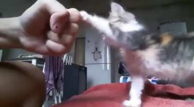 High five bro ?