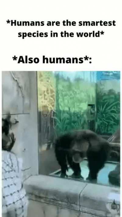 "Humans"